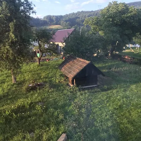 Vila Osenik *